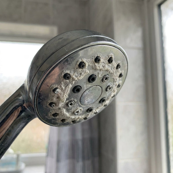 Tartre sur le pommeau de douche